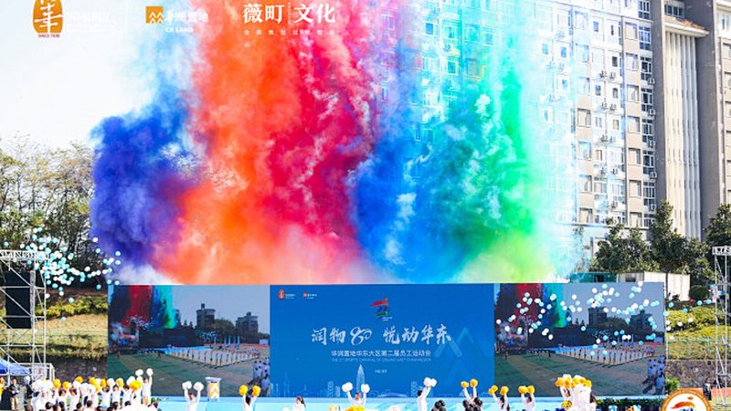 上海VI设计公司服务内容揭秘：从品牌形象到视觉传达